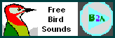 bird sound recordings