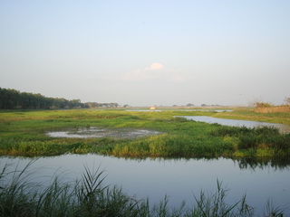 Candaba Marsh