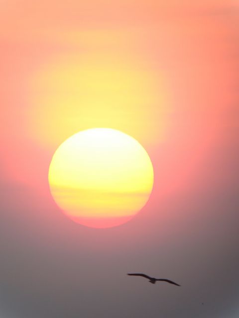 Thai Muang sunset