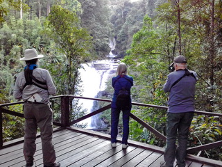 Birding group at Doi Inthanon waterfall