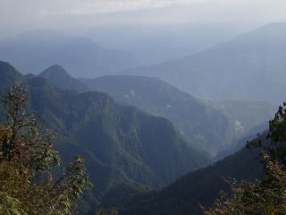 Hoolock Gibbon habitat photo Stijn De Win