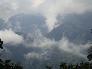 Mishmi Hills photo Stijn De Win