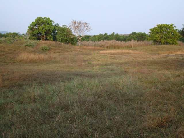 Thai Muang golf course