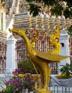 Wat Arun Bangkok