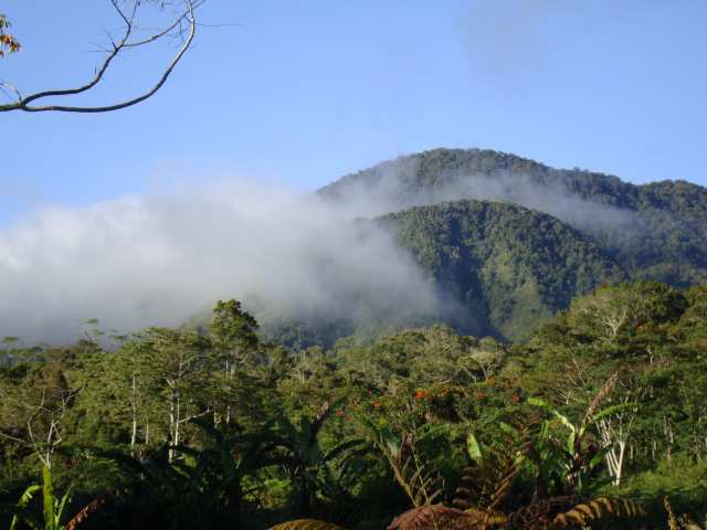 Mount Kitanglad