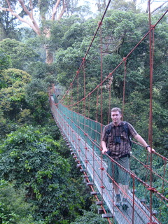 Canopy walkway in Danum Valley