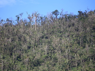 Lake Danao Leyte
            post-typhoon Haiyan