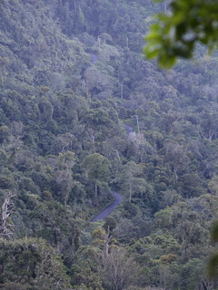 birding Golo Lusang on Flores