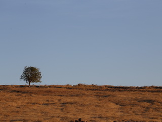 Sumba Yumbu grassland