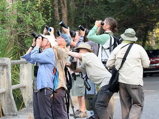 Birding group