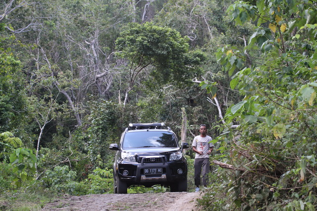Kisol birding Kisol on Flores
