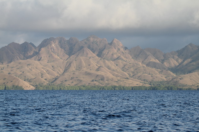 Birding Komodo Birding Komodo islands