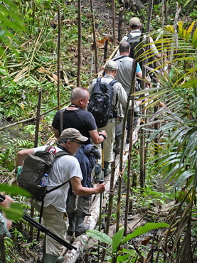 Lesser BoP walk at Nimbokrang