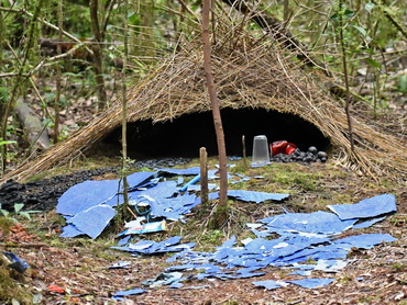 Vogelkop Bowerbird bower