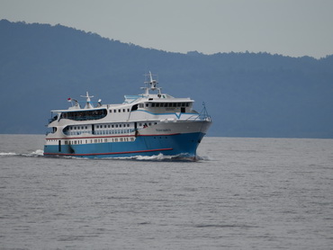 Waigeo
              Ferry