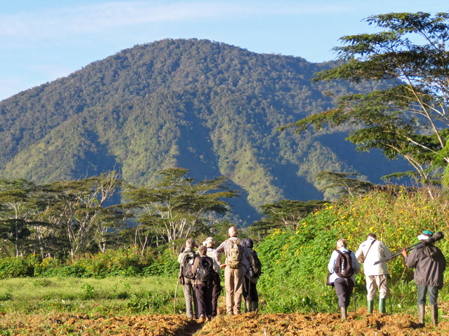 Birding on Mount Kitanglad