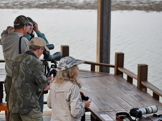 Black-faced Spoonbill hide at Tsengwen