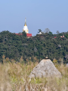 Thaton fields birding site