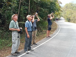 birding group in Kaeng Krachan