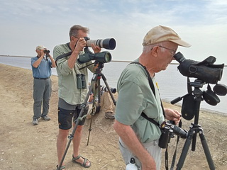 Birding group