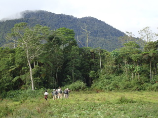 Kitanglad birding group